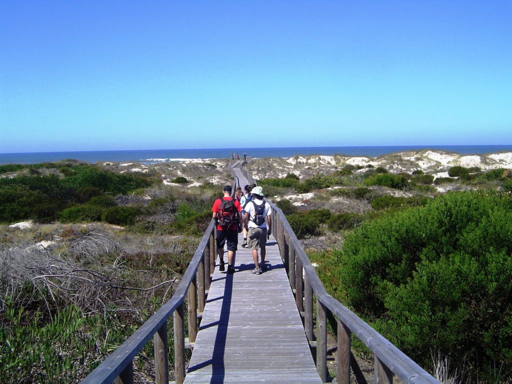 dunas são jacinto