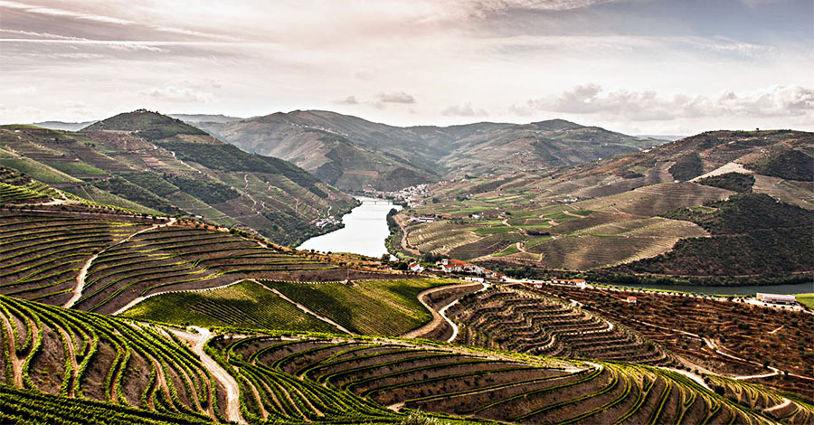 Day Trips from Porto