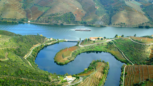 Douro River Cruise