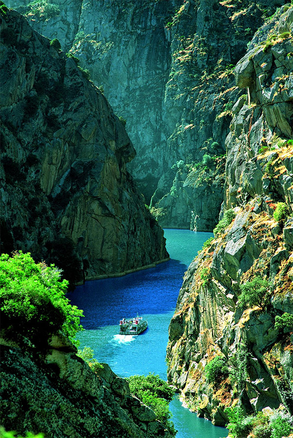 Douro Valley in Porto