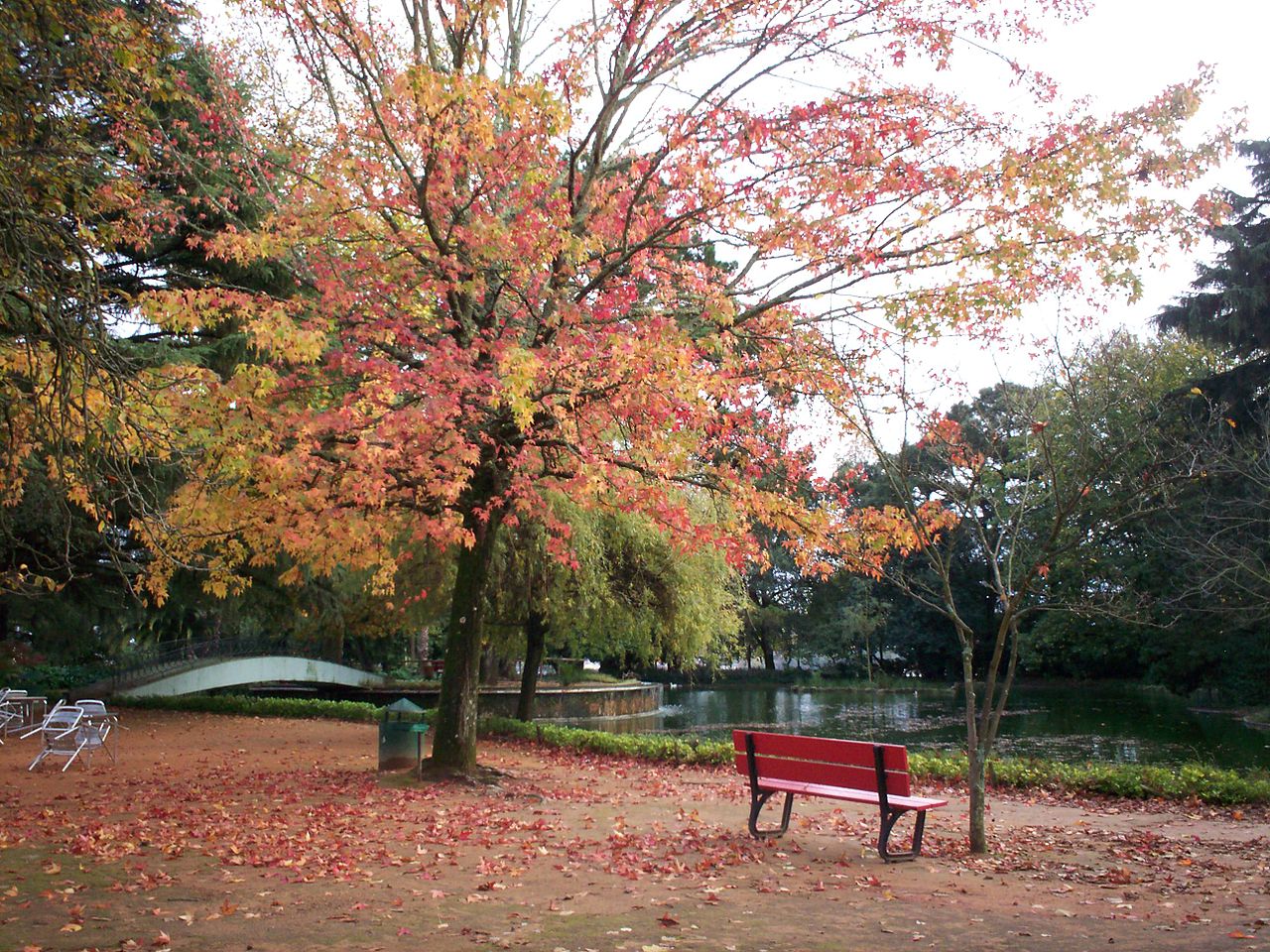 Picnic Spots in Porto - Jardins do Palácio de Cristal