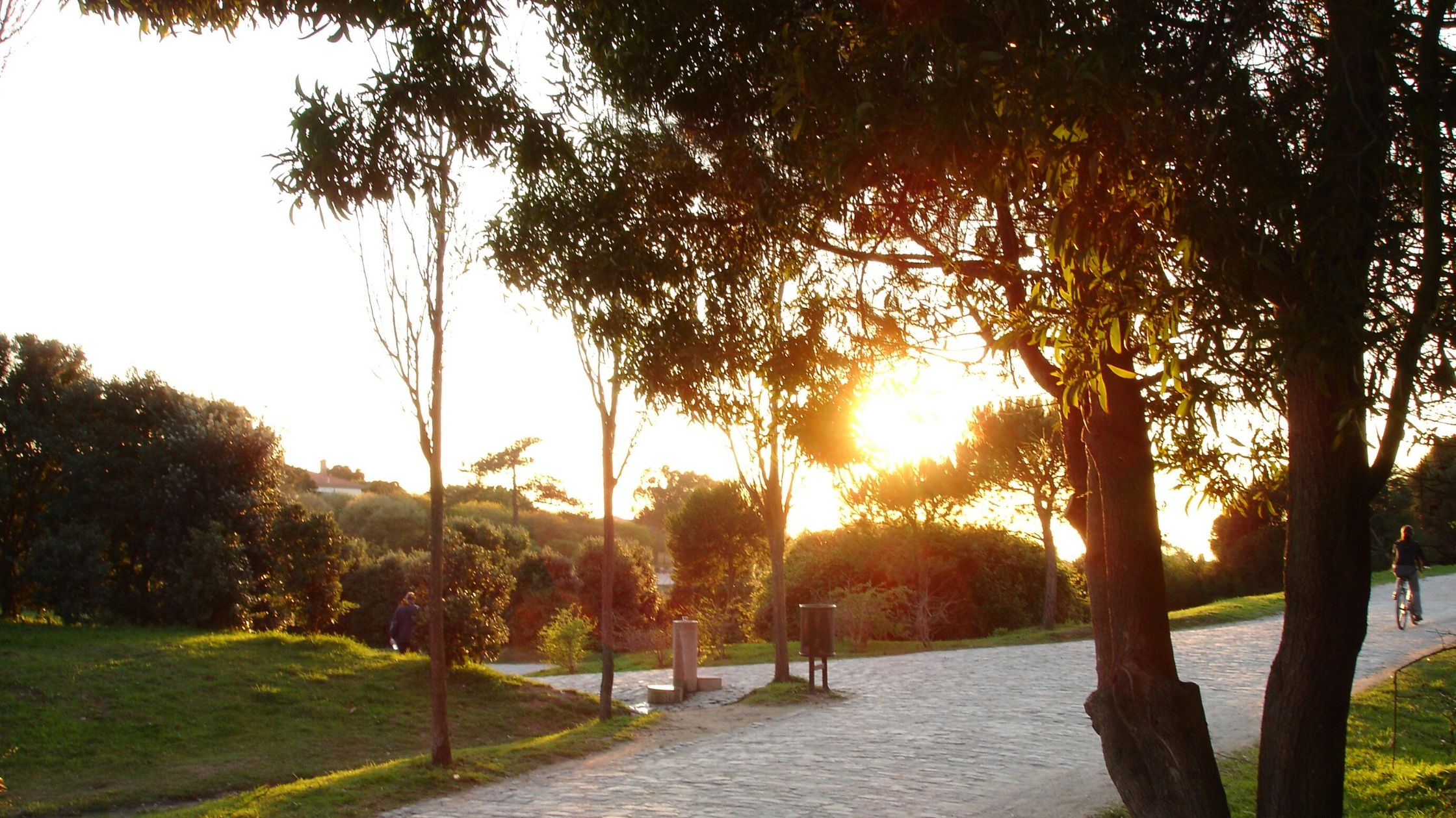 Picnic Spots in Porto - Parque da Cidade